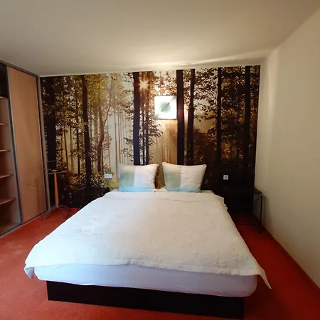 Otel Haus Waldesruh - Eventhotel *